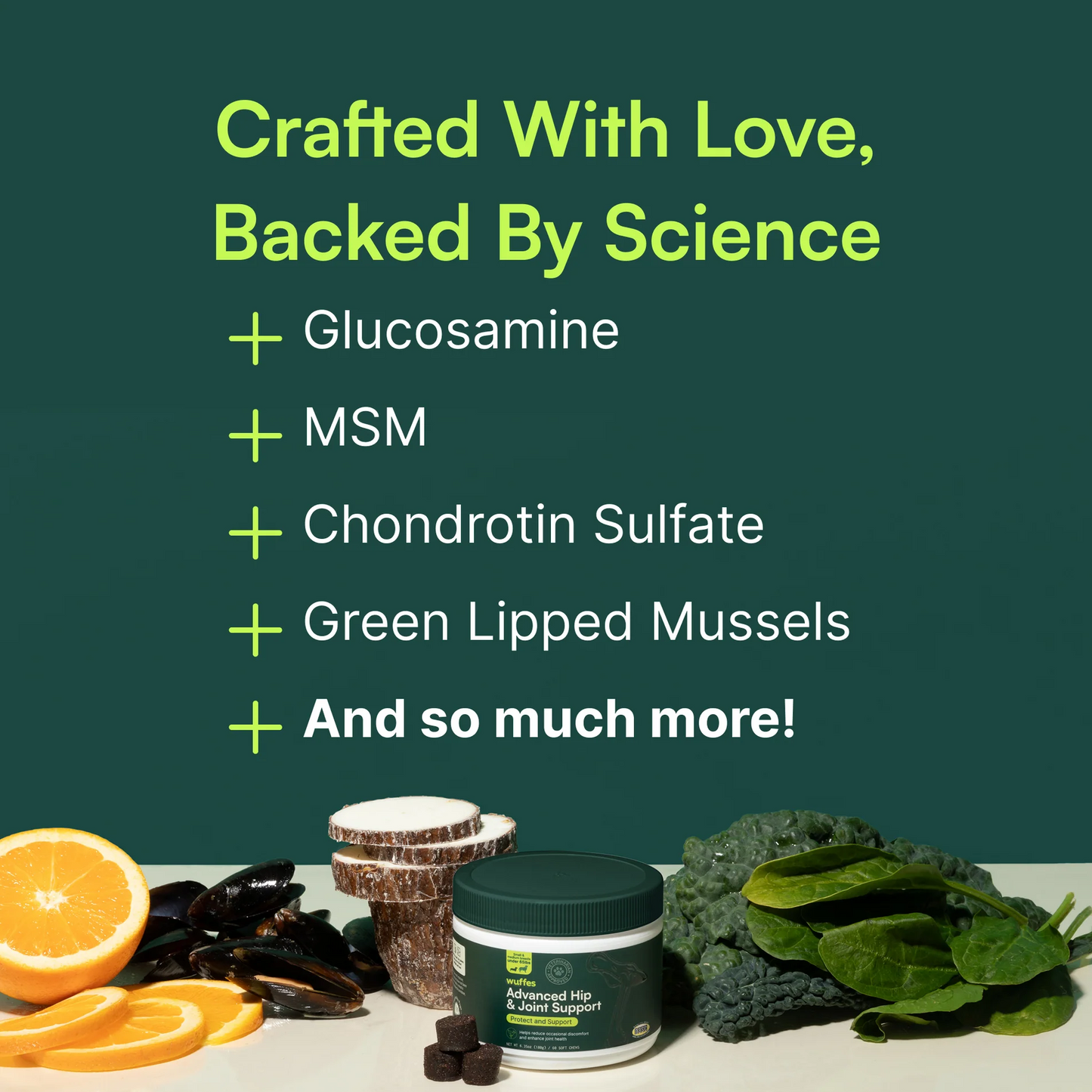 Advanced Hip & JointSupport