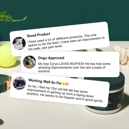 Advanced Hip & JointSupport